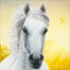 Diamond Dotz White Horse 30cm X 30cm -Little Brian Sales Store 1d989fdc3c32defc225ff0b209477a98 thumb