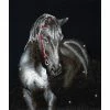 Diamond Dotz Midnight Stallion 42cm X 53cm