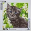 Diamond Dotz Kitten 30cm X 30cm -Little Brian Sales Store 51b6920e5b932bef24332f6b99af0e48 thumb