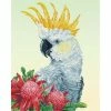 Diamond Dotz White Cockatoo & Warathas 51cm X 41cm -Little Brian Sales Store 5c4145953e2e68ced343d390a1eabc14 thumb