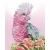 Diamond Dotz Pink Galah & Banksia 51cm X 41cm -Little Brian Sales Store 63b33dbfc7361baf2f31adb072ca347d thumb