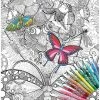 Colour Away Poster In A Native Garden -Little Brian Sales Store 64900fe3189a57ff6be303cee42ee922 thumb