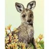 Diamond Dotz Kangaroo & Kangaroo Paw Flower 51cm X 41cm -Little Brian Sales Store bb4538e4d39b886f8490ae4addfffeff thumb