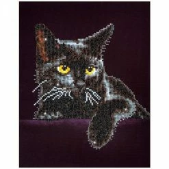 Diamond Dotz Midnight Cat 28cm X 36cm