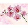 Diamond Dotz Orchid Spray 27cm X 37cm -Little Brian Sales Store d9debfd6712a9b680e273c73038ce781 thumb